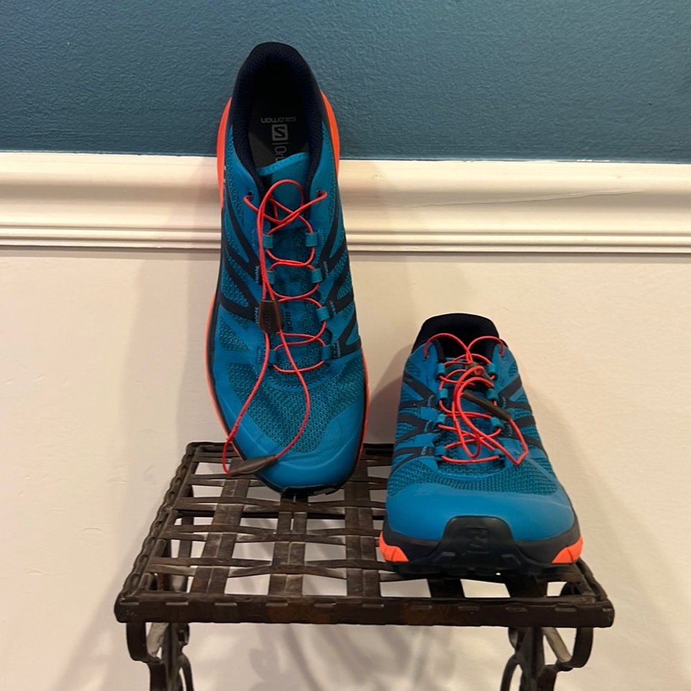 Salomon trail/run/athletic shoes.